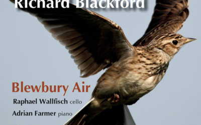 RICHARD BLACKFORD: Blewbury Air