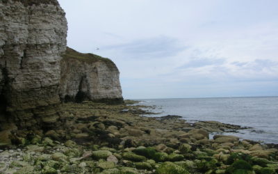 Feature: William Baines and Flamborough Head