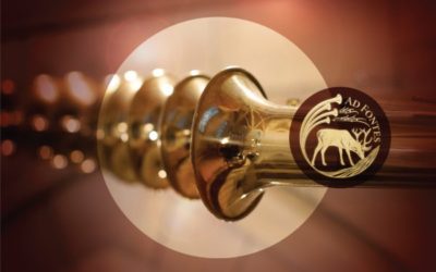 PROCESSIONAL: Organ Music