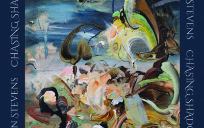 ROBIN STEVENS: Chasing Shadows